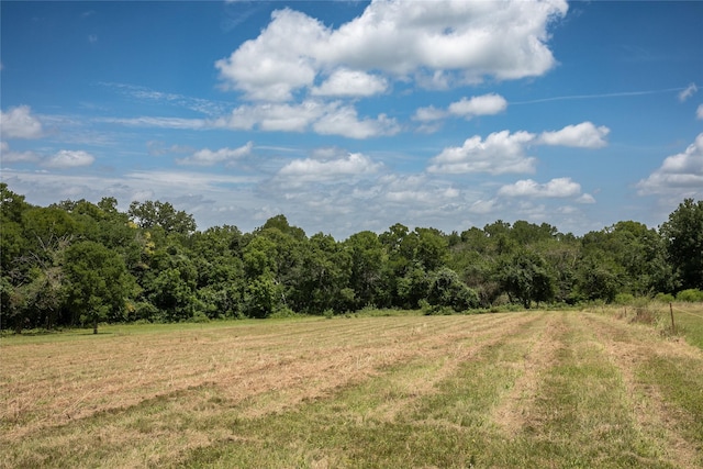 TBD Stern Rd, Chappell Hill, TX 77426 - photo 6