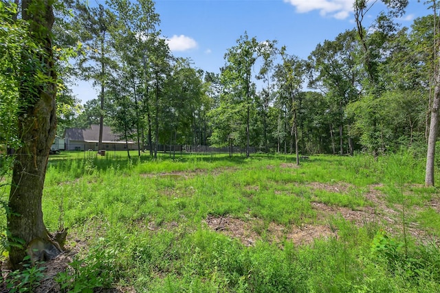 7603 Timber Switch Rd, Cleveland, TX 77328 - photo 39