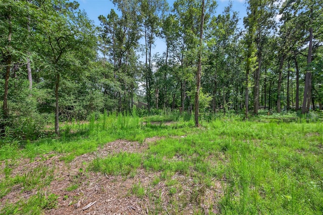 7603 Timber Switch Rd, Cleveland, TX 77328 - photo 41