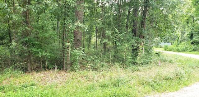 80 Morris Creek Rd, Coldspring, TX 77331 - photo 3