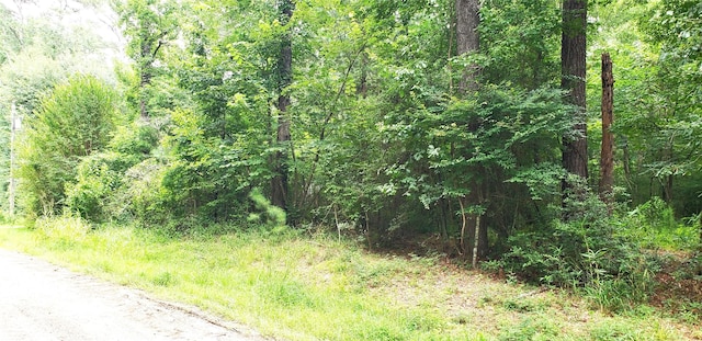 80 Morris Creek Rd, Coldspring, TX 77331 - photo 4