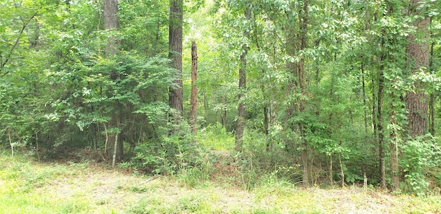 80 Morris Creek Rd, Coldspring, TX 77331 - photo 5