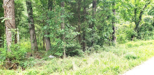 80 Morris Creek Rd, Coldspring, TX 77331 - photo 8