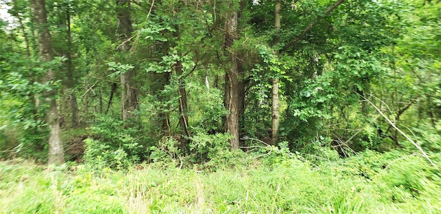 80 Morris Creek Rd, Coldspring, TX 77331 - photo 9