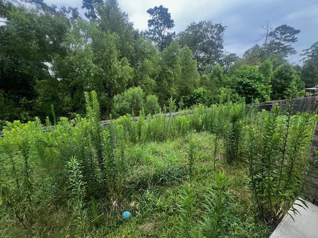 15059 Meadow Gln N, Conroe, TX 77306 - photo 13