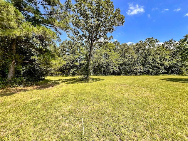 13381 Forest Ln, Montgomery, TX 77356 - photo 2