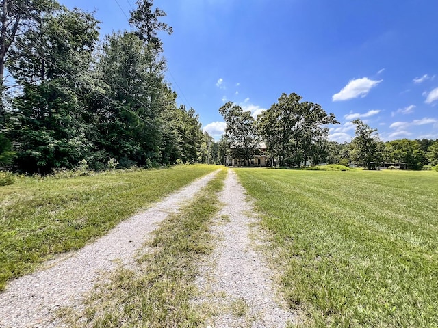 13381 Forest Ln, Montgomery, TX 77356 - photo 3