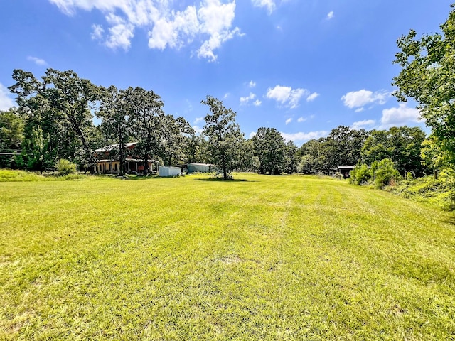13381 Forest Ln, Montgomery, TX 77356 - photo 22