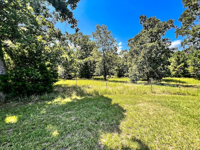 13381 Forest Ln, Montgomery, TX 77356 - photo 23