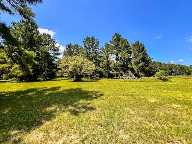 13381 Forest Ln, Montgomery, TX 77356 - photo 24
