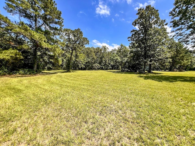 13381 Forest Ln, Montgomery, TX 77356 - photo 25