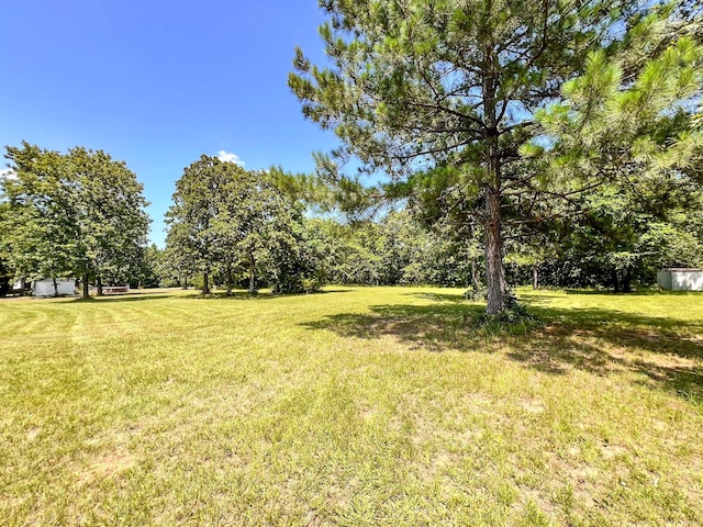 13381 Forest Ln, Montgomery, TX 77356 - photo 28