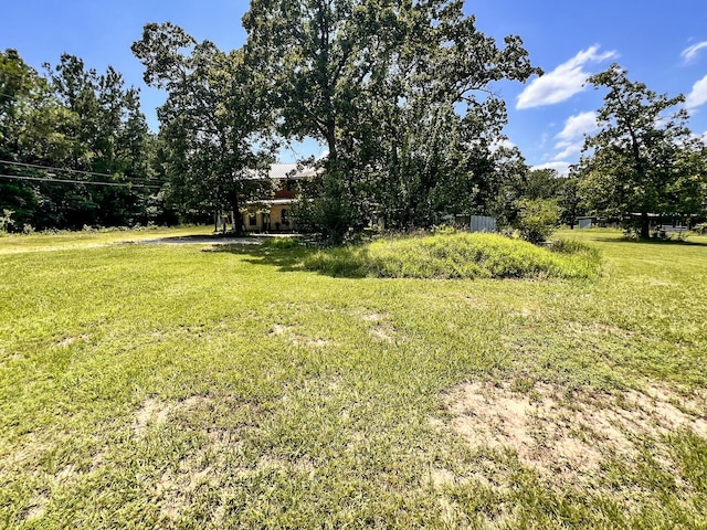 13381 Forest Ln, Montgomery, TX 77356 - photo 29