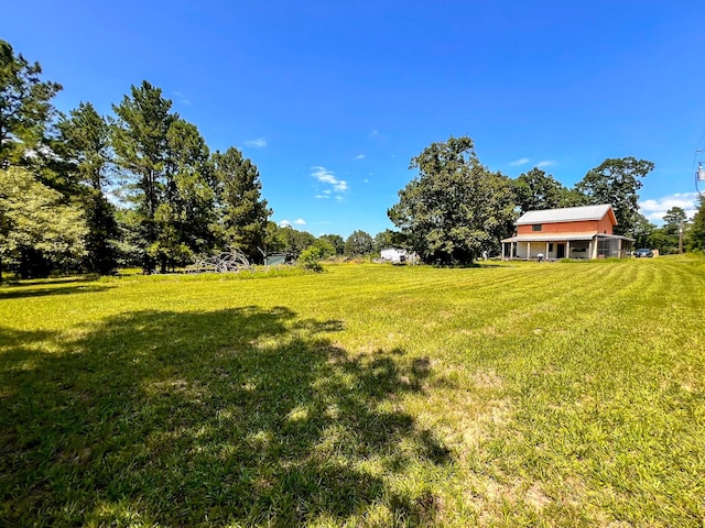 13381 Forest Ln, Montgomery, TX 77356 - photo 9