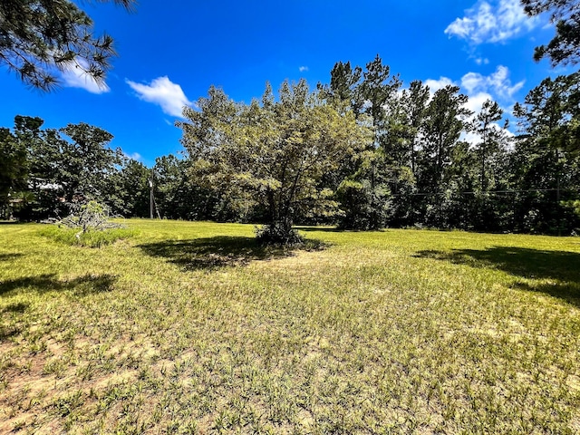 13381 Forest Ln, Montgomery, TX 77356 - photo 10