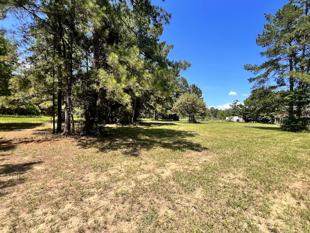 13381 Forest Ln, Montgomery, TX 77356 - photo 12