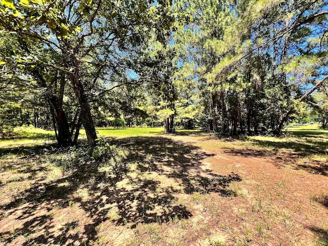 13381 Forest Ln, Montgomery, TX 77356 - photo 13