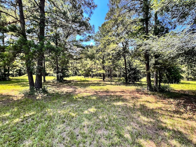 13381 Forest Ln, Montgomery, TX 77356 - photo 14