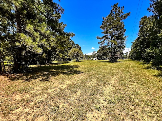13381 Forest Ln, Montgomery, TX 77356 - photo 15