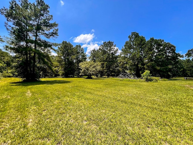 13381 Forest Ln, Montgomery, TX 77356 - photo 19
