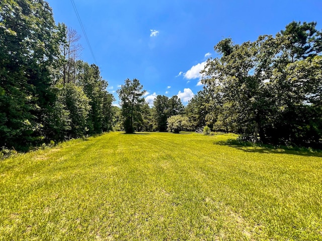 13381 Forest Ln, Montgomery, TX 77356 - photo 20