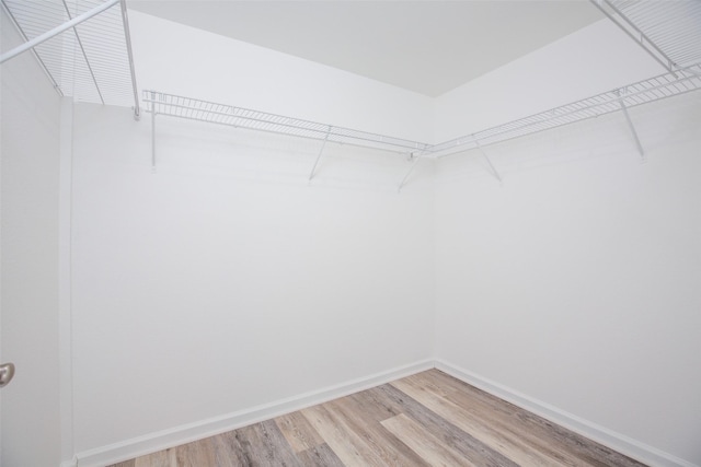6229 Carew St, Houston, TX 77074 - photo 10