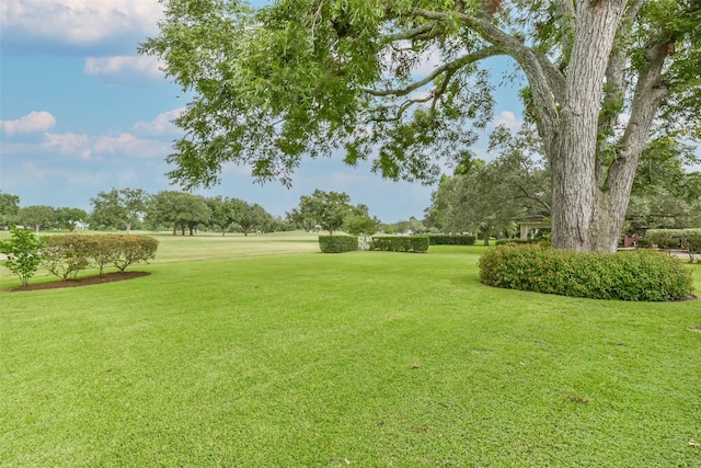 5434 Whitmore St, Fulshear, TX 77441 - photo 39
