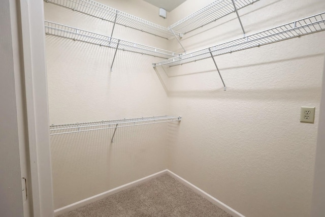 1711 Old Spanish Trl Unit 448, Houston, TX 77054 - photo 13