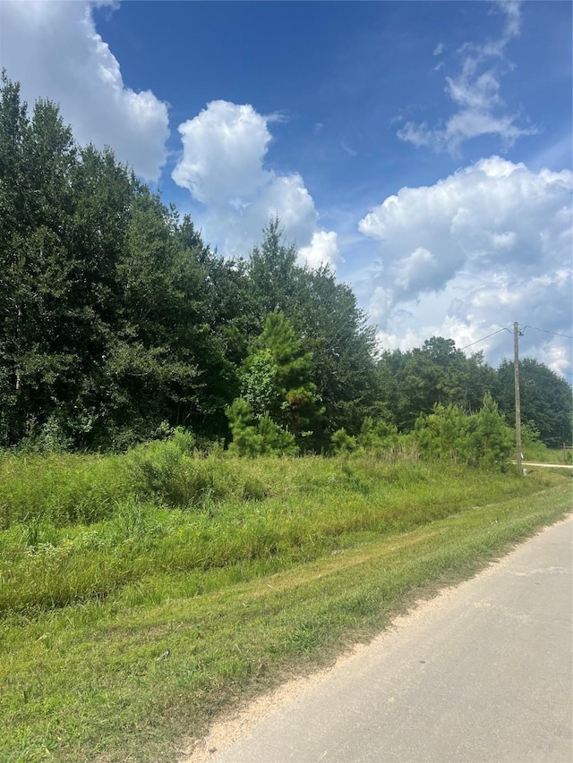 296 County Road 5011, Cleveland, TX 77327 - photo 1