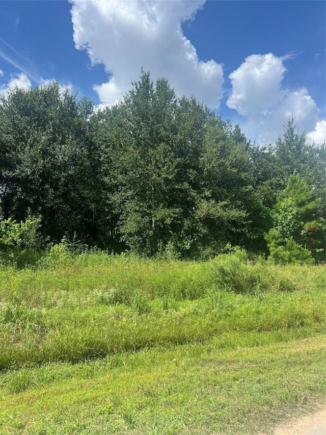 296 County Road 5011, Cleveland, TX 77327 - photo 3