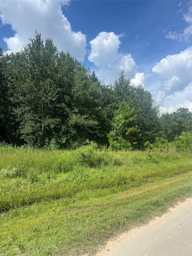 296 County Road 5011, Cleveland, TX 77327 - photo 7