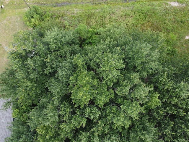296 County Road 5011, Cleveland, TX 77327 - photo 8