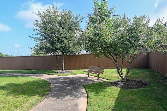 22410 Helen Springs Ln, Richmond, TX 77469 - photo 24