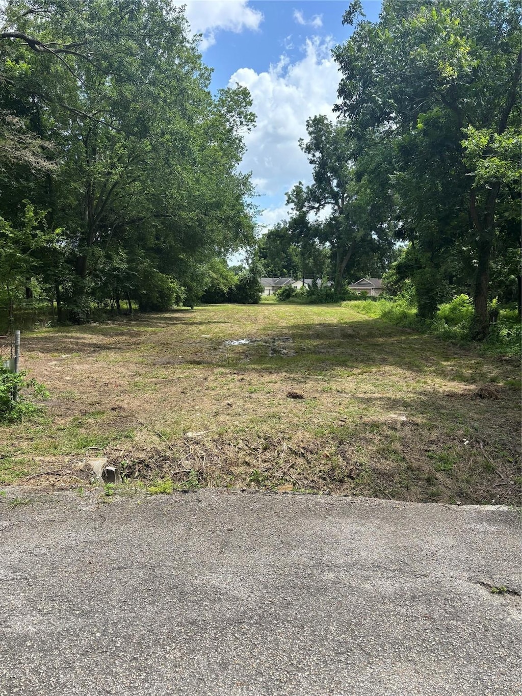 769 Homer St, Houston, TX 77091 - photo 1