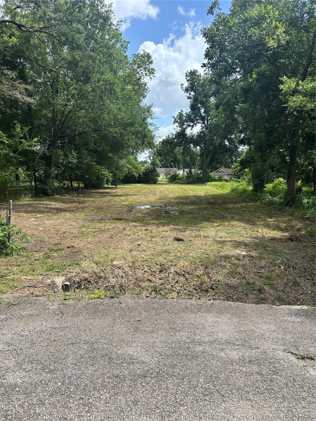 769 Homer St, Houston, TX 77091 - photo 1