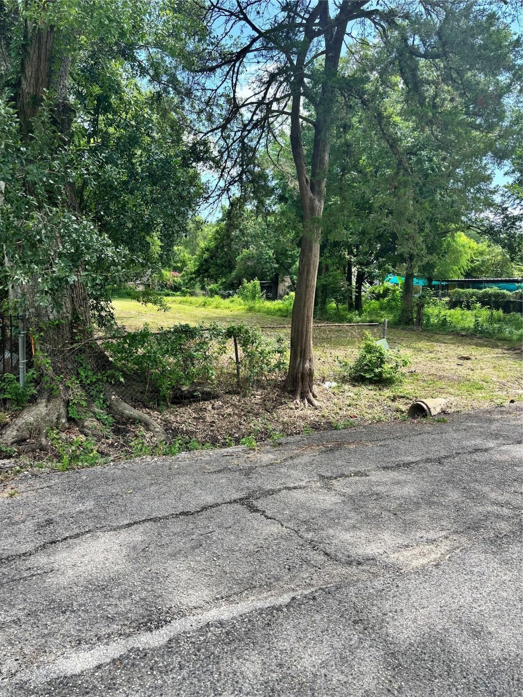 769 Homer St, Houston, TX 77091 - photo 3