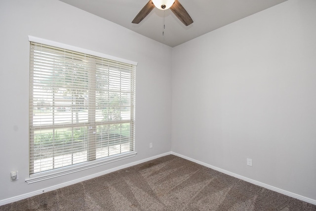 12006 Sambuco Ct, Richmond, TX 77406 - photo 23