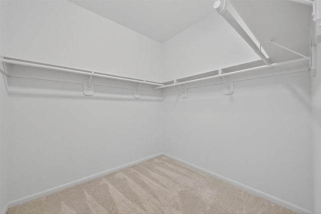 13703 Elm Shores Dr, Houston, TX 77044 - photo 27