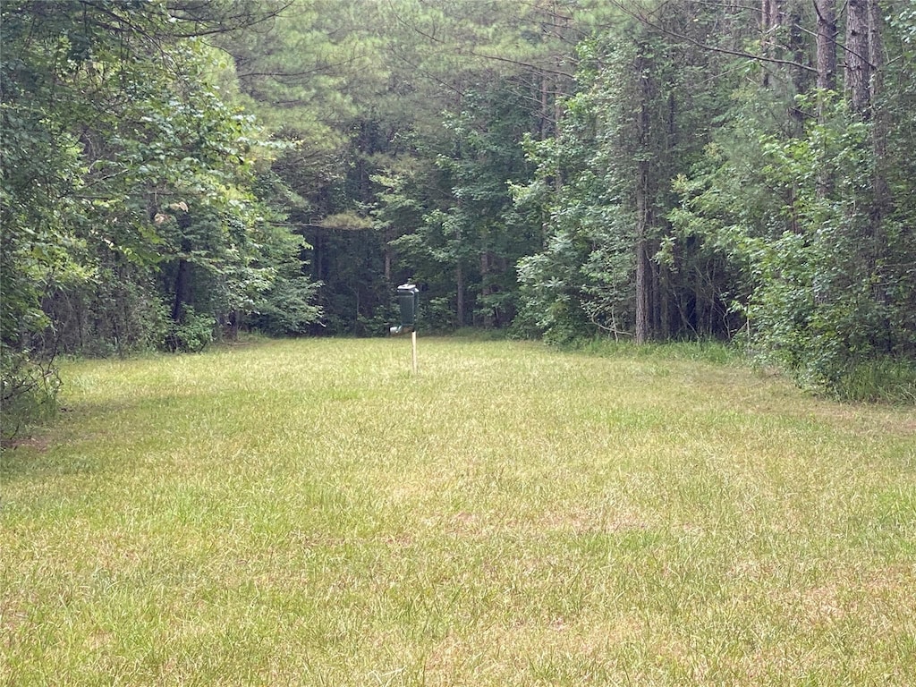 6405 Lower Mill Rd, Crawfordville, GA 30631 - photo 1