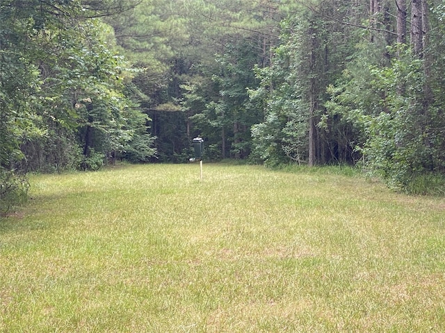6405 Lower Mill Rd, Crawfordville, GA 30631 - photo 1