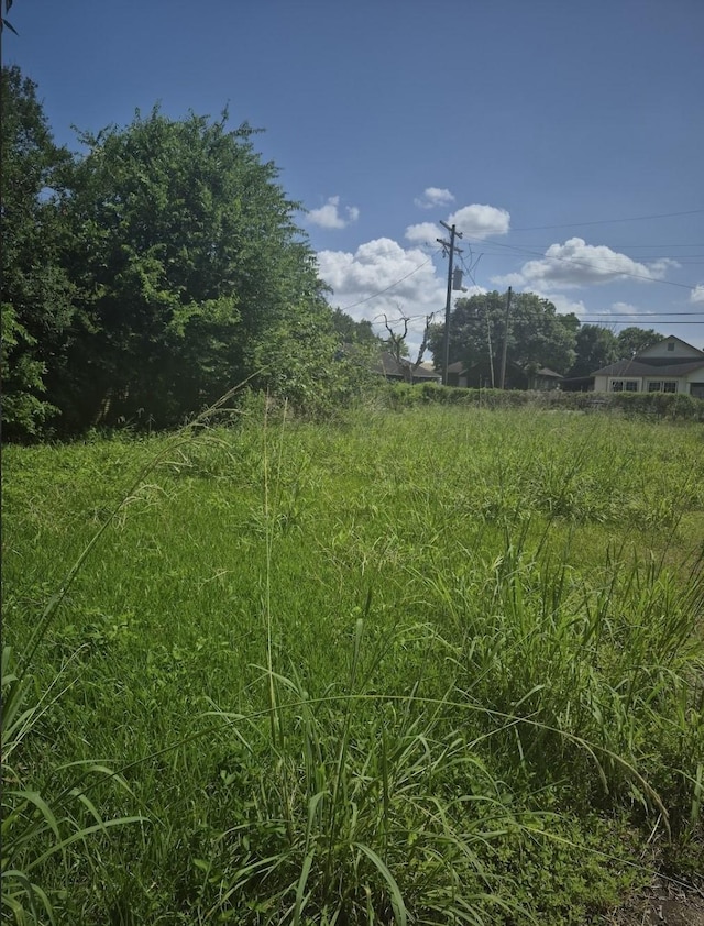 1329 Orange St, Beaumont, TX 77701 - photo 3