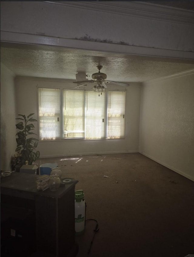 1329 Orange St, Beaumont, TX 77701 - photo 7