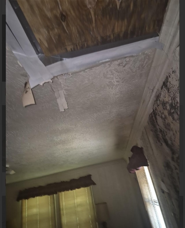 1329 Orange St, Beaumont, TX 77701 - photo 25
