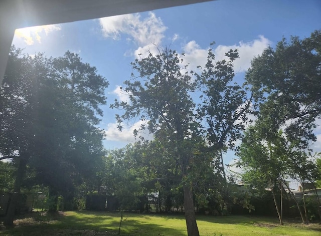 8118 Ogden St, Houston, TX 77017 - photo 3