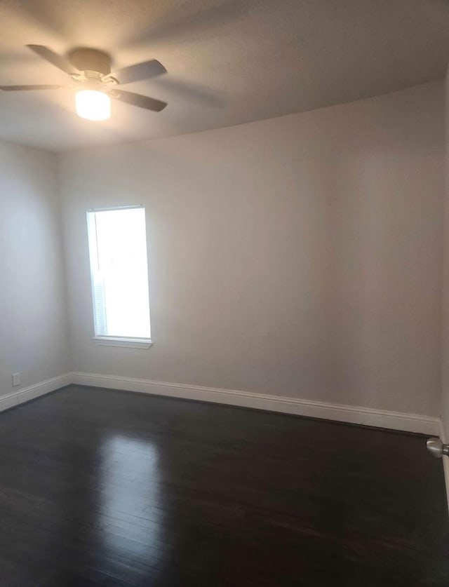 8118 Ogden St, Houston, TX 77017 - photo 8