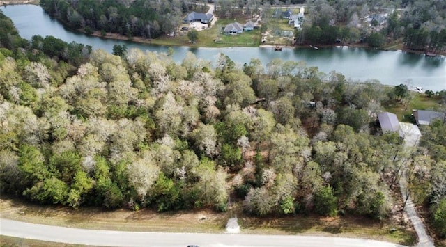 21240 Grant Lake Cir, Cleveland, TX 77328 - photo 4