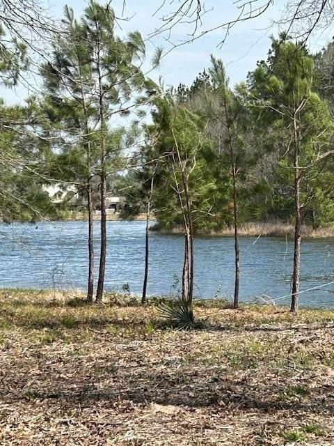 21240 Grant Lake Cir, Cleveland, TX 77328 - photo 5