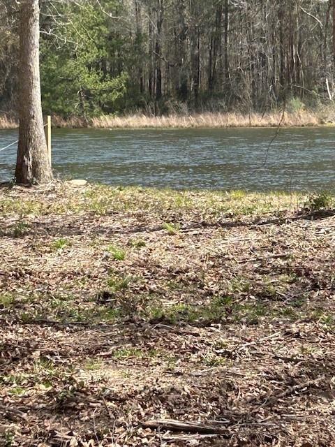 21240 Grant Lake Cir, Cleveland, TX 77328 - photo 6