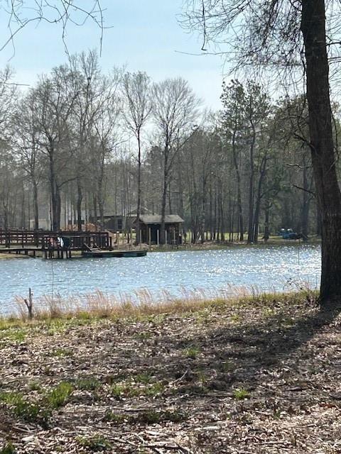 21240 Grant Lake Cir, Cleveland, TX 77328 - photo 7
