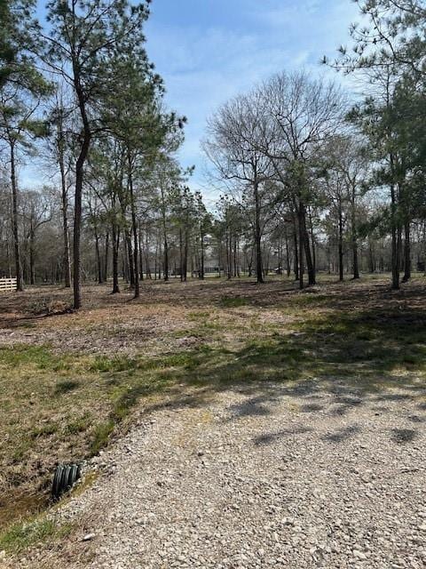 21240 Grant Lake Cir, Cleveland, TX 77328 - photo 8